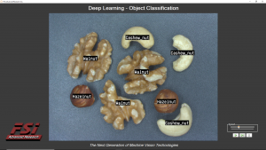 Classifying Mixed Nuts using Deep Learning for Machine Vision, Example One of Object Classification