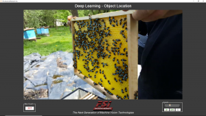 Locating Bees in a Complex Image using Deep Learning for Machine Vision, Example Two of Object Location